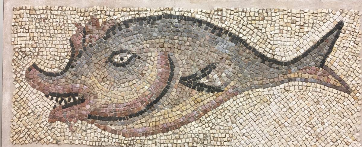 Мозаика композитор. Крокодилопардалис мозаика. Ancient Roman Mosaics Fish. Мозайка с рыбой в Камне в паинте. Мозаика Рогов.