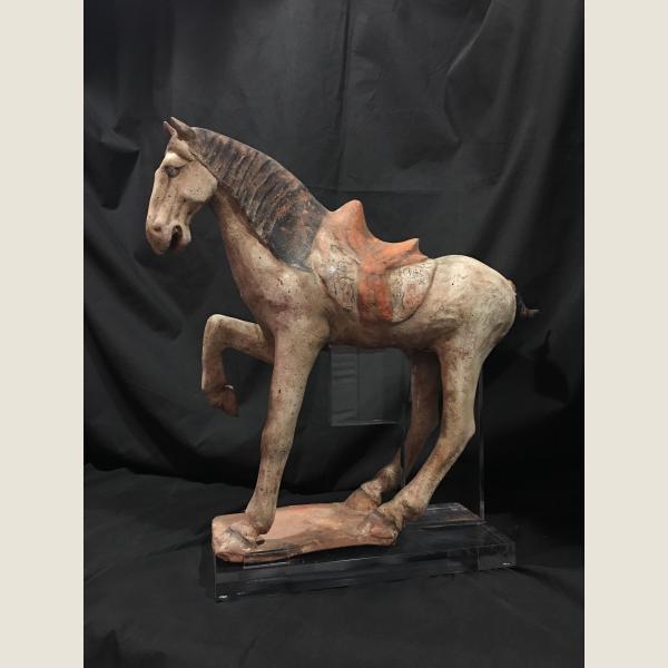 Ancient Chinese Tang Dynasty Horses 