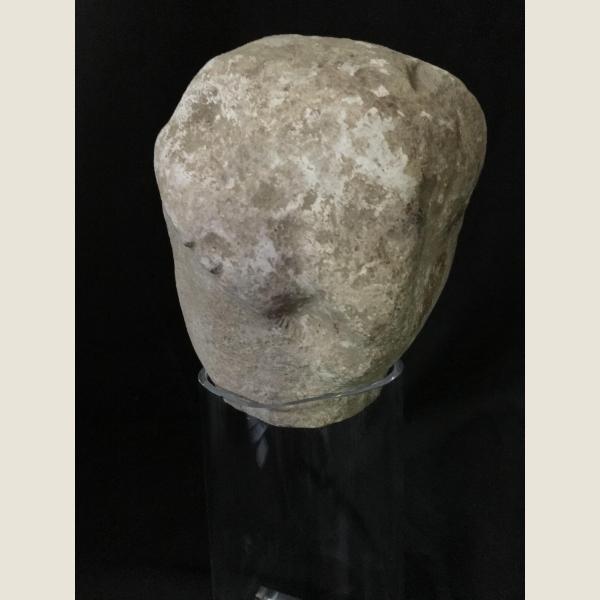 Ancient Greek Cypriot Limestone Head